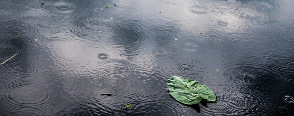 pluie tempête