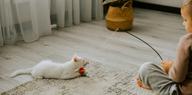 chat qui joue avec un enfant