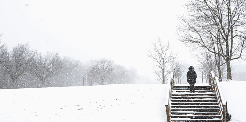 neige dans la rue